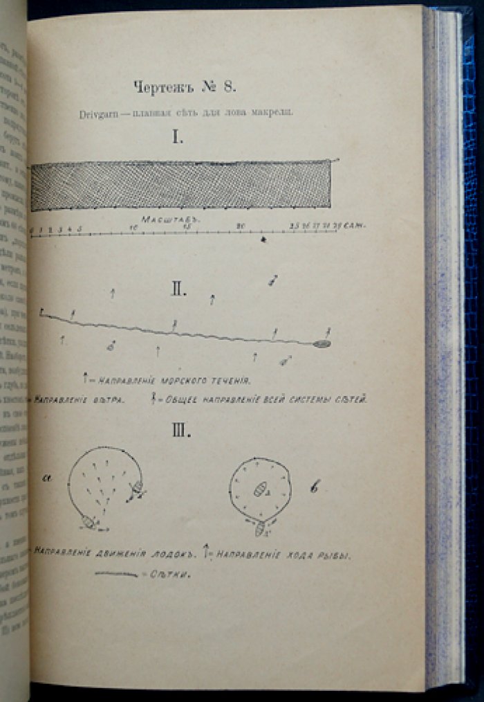 Рыбные промыслы Западной Европы. Выпуски I–IV (комплект) — исследования о промыслах у Лофотенских островов, норвежских, траловом и плавном промысле в Северном море