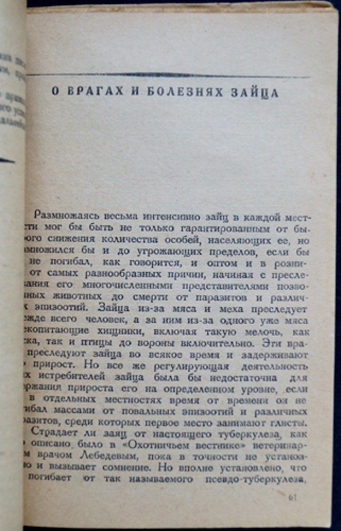 О зайце и его добывании: охотничья монография о видах зайцев СССР