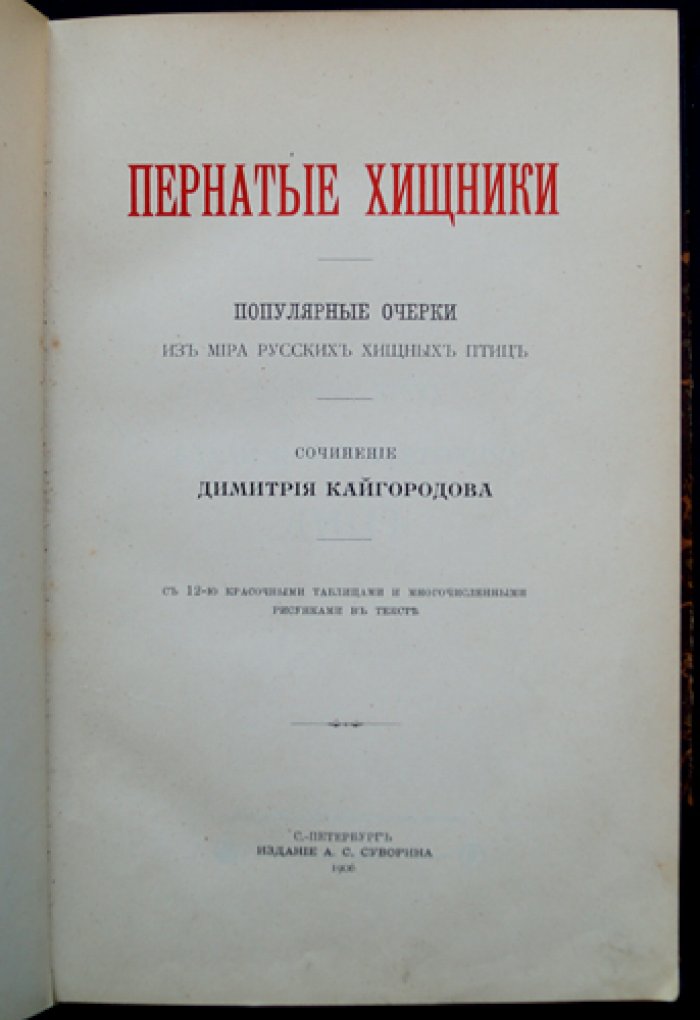 Пернатые хищники: популярные очерки о русских хищных птицах