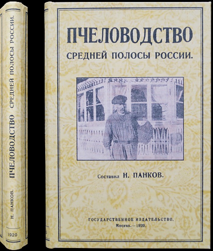 Пчеловодство средней полосы России: руководство по разведению пчёл и увеличению медосбора