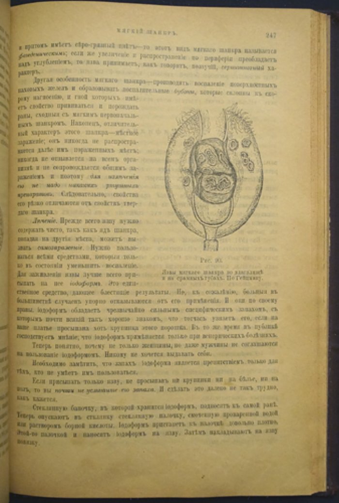 Физический мир женщины: общедоступные медицинские беседы о половых проявлениях, причинах и лечении женских болезней (5 частей + приложение)