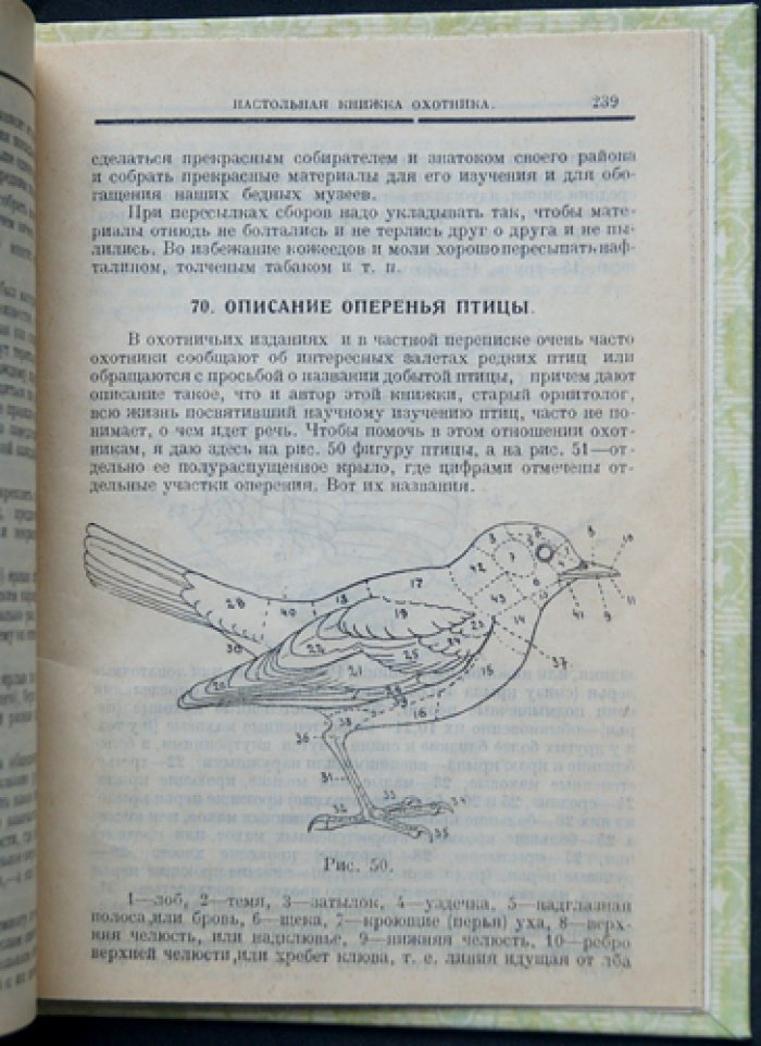 Настольная книжка охотника (классика охотничьего дела Бутурлина)