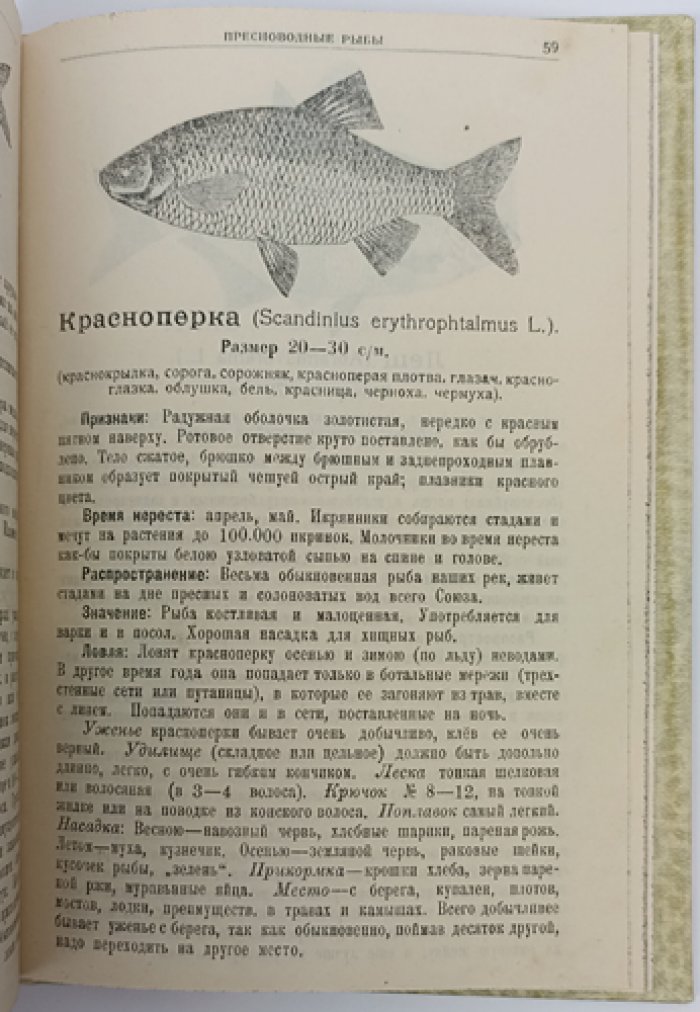 Опытный рыболов-любитель: способы уженья, снасти и приманки (с рисунками в тексте)