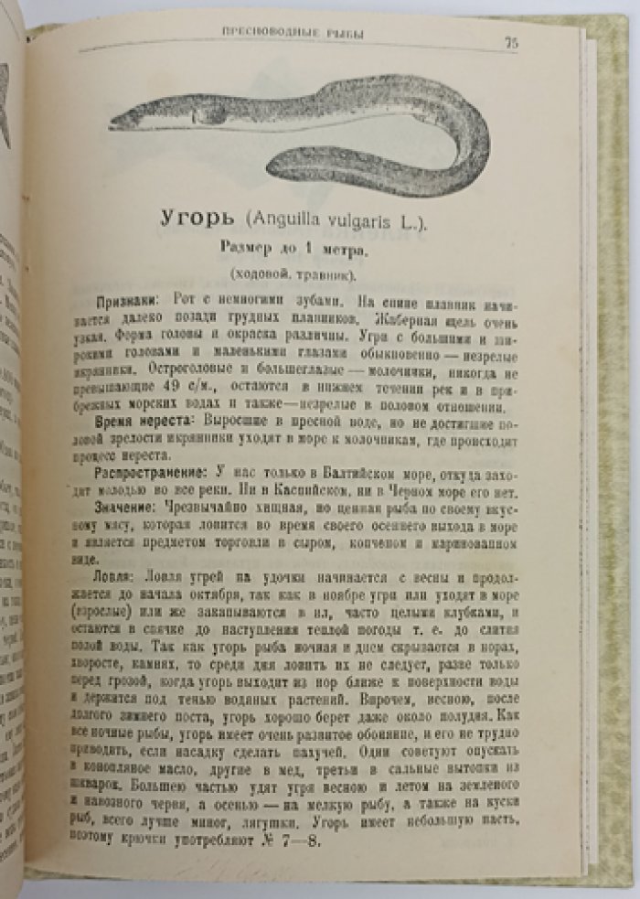 Опытный рыболов-любитель: способы уженья, снасти и приманки (с рисунками в тексте)