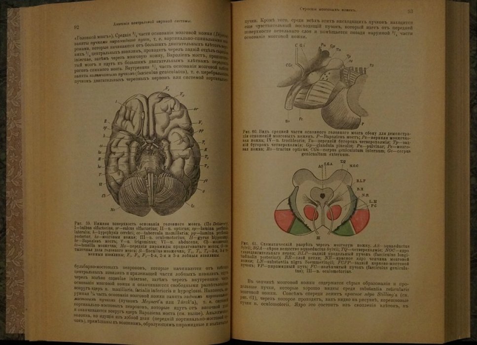 Классическое руководство по изучению болезней нервной системы (пер. с франц., 1907)