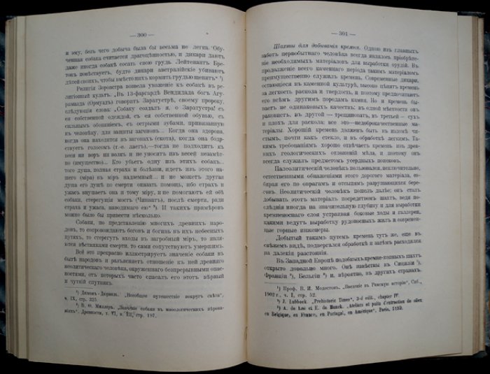 Первобытная археология: курс лекций (по материалам Московского археологического института)