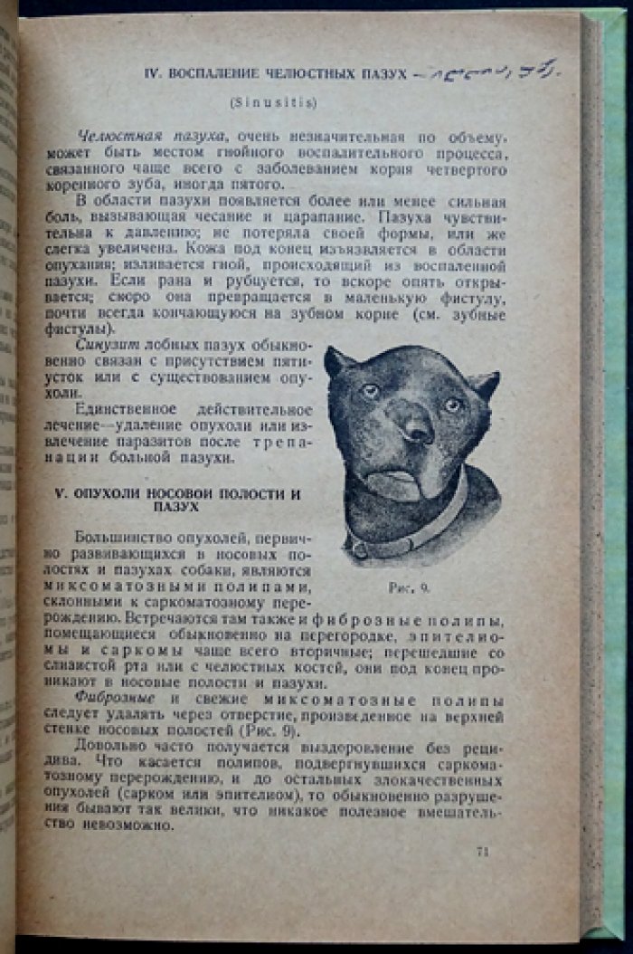 Болезни собак. Универсальный справочник по внутренним и наружным заболеваниям (с иллюстрациями)