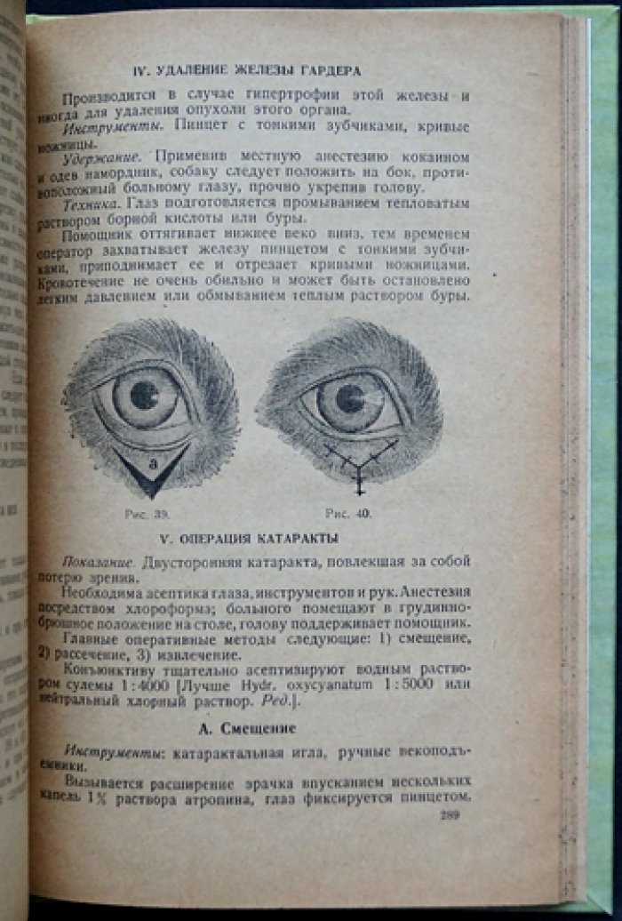 Болезни собак. Универсальный справочник по внутренним и наружным заболеваниям (с иллюстрациями)