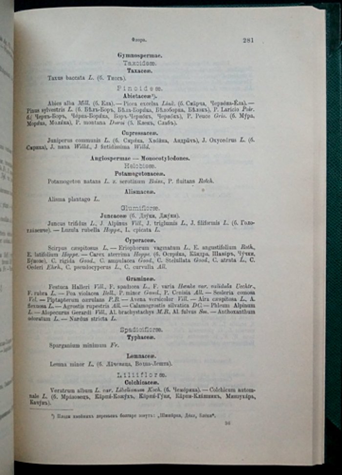 Двадцатипятилетние итоги Княжества Болгарии (1879–1904). Том I, книга 1: Землеведение