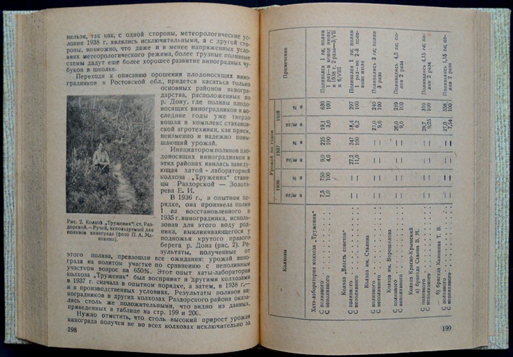 Донское виноградарство: сборник работ (агротехника, почвы, сорта и орошение виноградников Ростовской области)