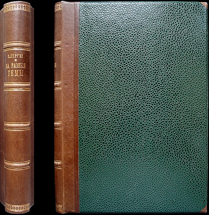 П. Б. Струве. «На разные темы» (1893–1901): сборник статей о русской философии, общественной мысли и литературном наследии