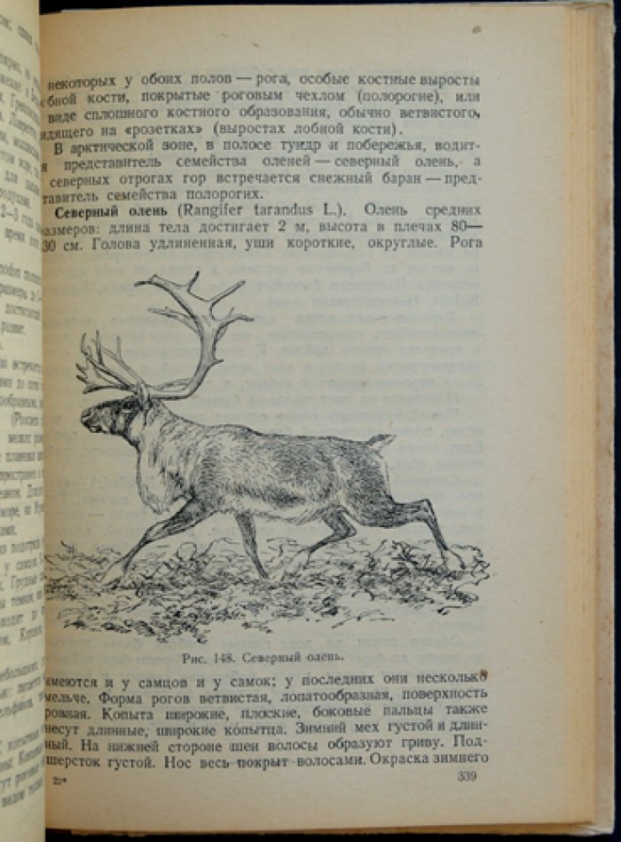Справочная книжка полярника: океанография, климат, животный мир и население Арктики