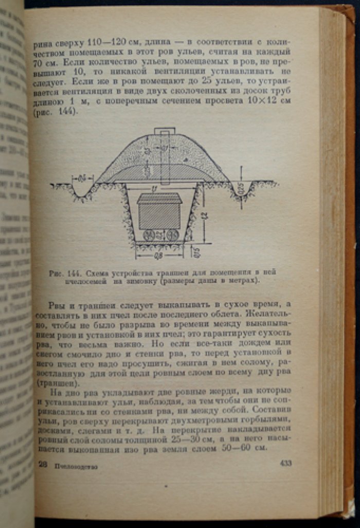 Пчеловодство: биология семьи, разведение, содержание, болезни, кормовая база и опыление сельхозкультур
