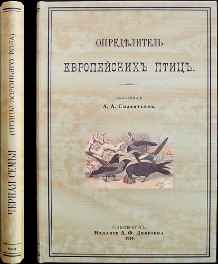 Конволют: «Черная семья» Д. Кайгородова и «Определитель европейских птиц» А. А. Силантьева (2-е изд.)