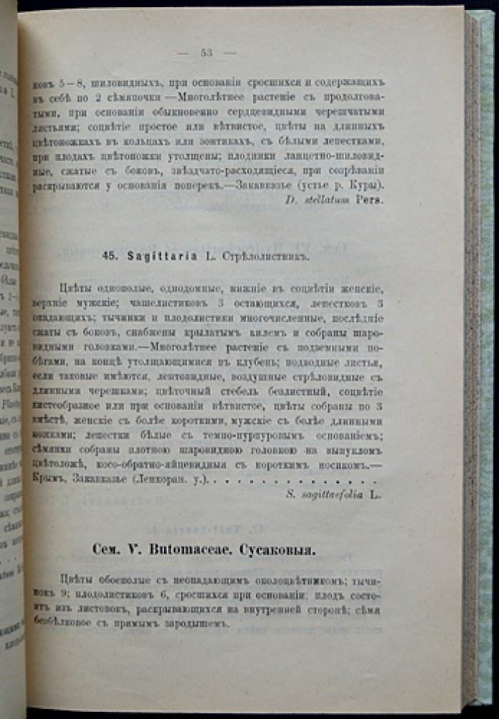 Определитель растений Кавказа и Крыма: комплект из 2 томов (единый переплёт)