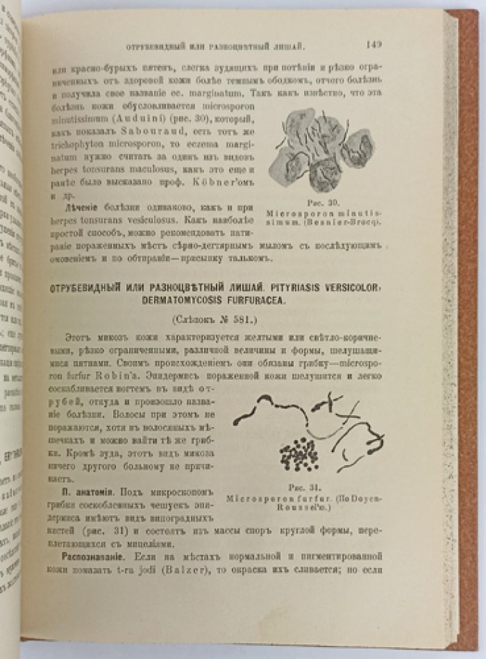 Поспелов. Краткий учебник кожных болезней (6-е исправленное и дополненное издание, 1907)