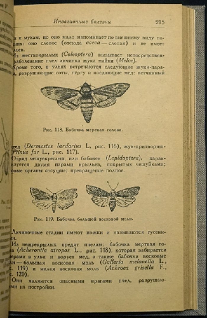 Болезни пчёл: справочник по диагностике и мерам борьбы (2-е перераб. изд.)
