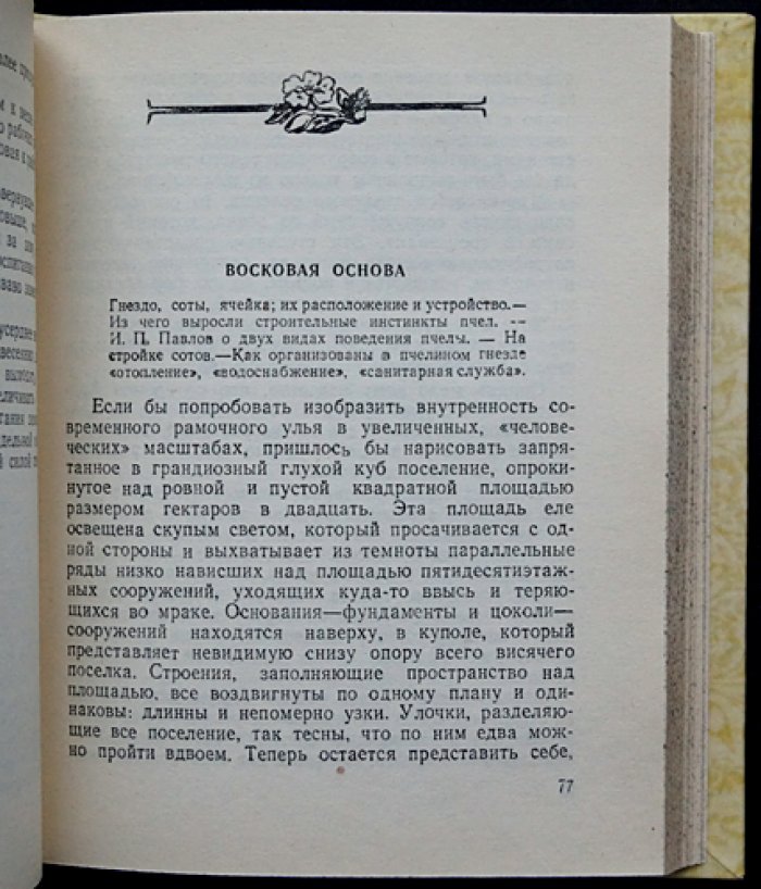 Пчёлы: биология пчелиной семьи и достижения науки о пчёлах
