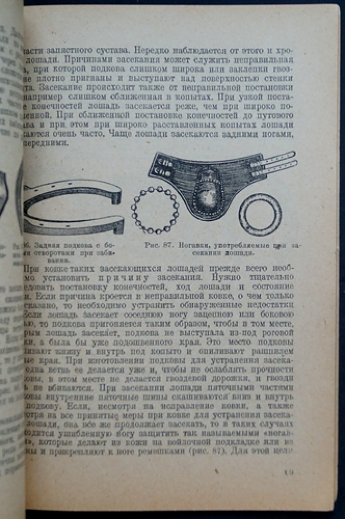 Учение о ковке лошади и болезнях копыт. Практическое руководство по уходу за копытами и профилактике заболеваний