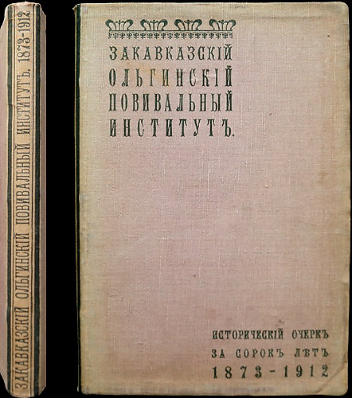 Закавказский Ольгинский повивальный институт: исторический очерк (1873–1912)