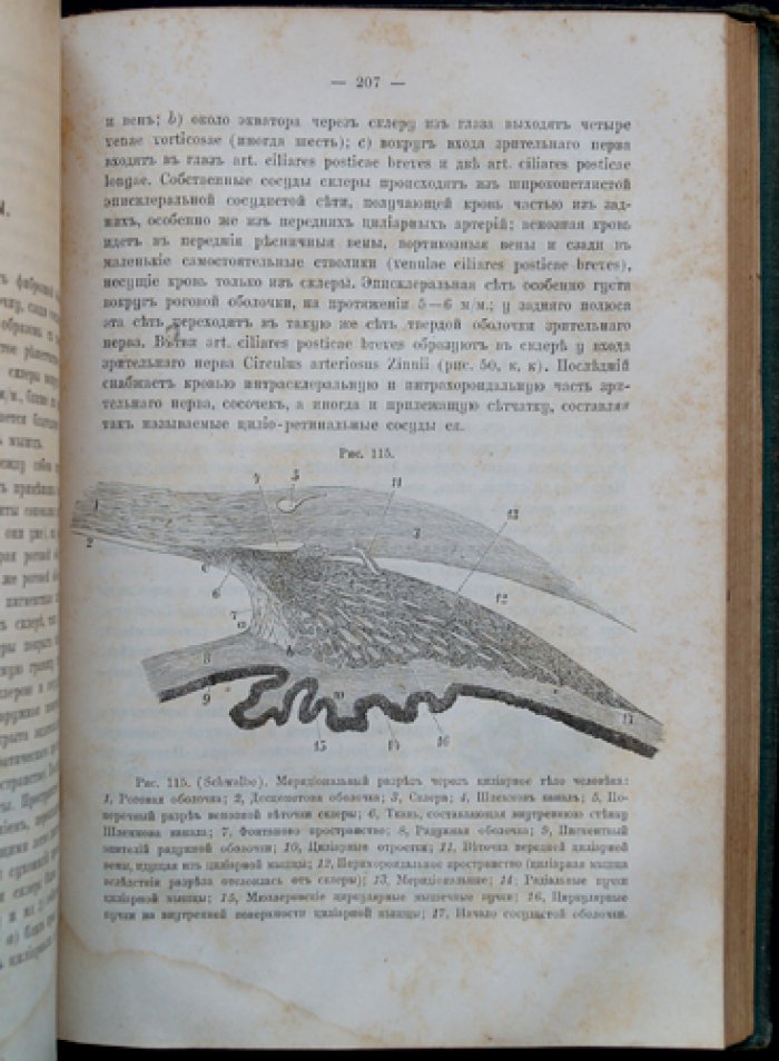 Курс глазных болезней. 6-е исправленное и дополненное издание (с рисунками в тексте)