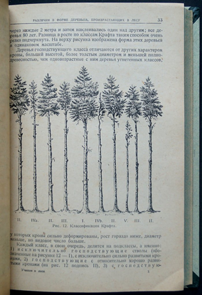 Г. Ф. Морозов. Учение о лесе (ландшафтный подход к природе леса). Издание третье