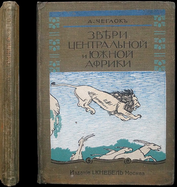Звери Центральной и Южной Африки. Десять рассказов с иллюстрациями Н. Зеддлера (в гостях у носорога и др.)