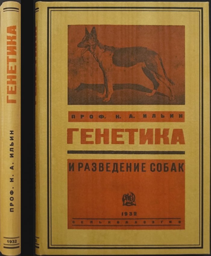 Генетика и разведение собак: генетическое введение в кюнологию