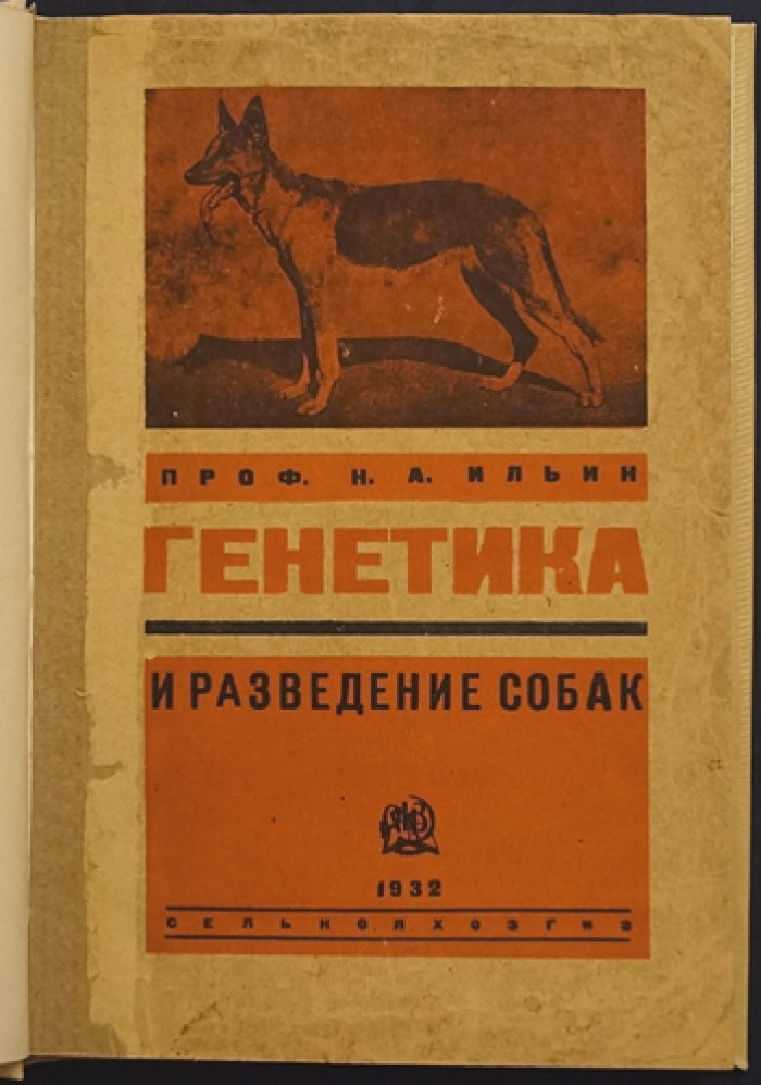 Генетика и разведение собак: генетическое введение в кюнологию