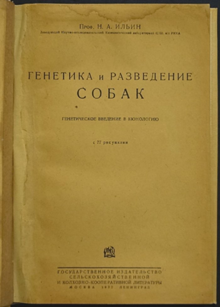 Генетика и разведение собак: генетическое введение в кюнологию