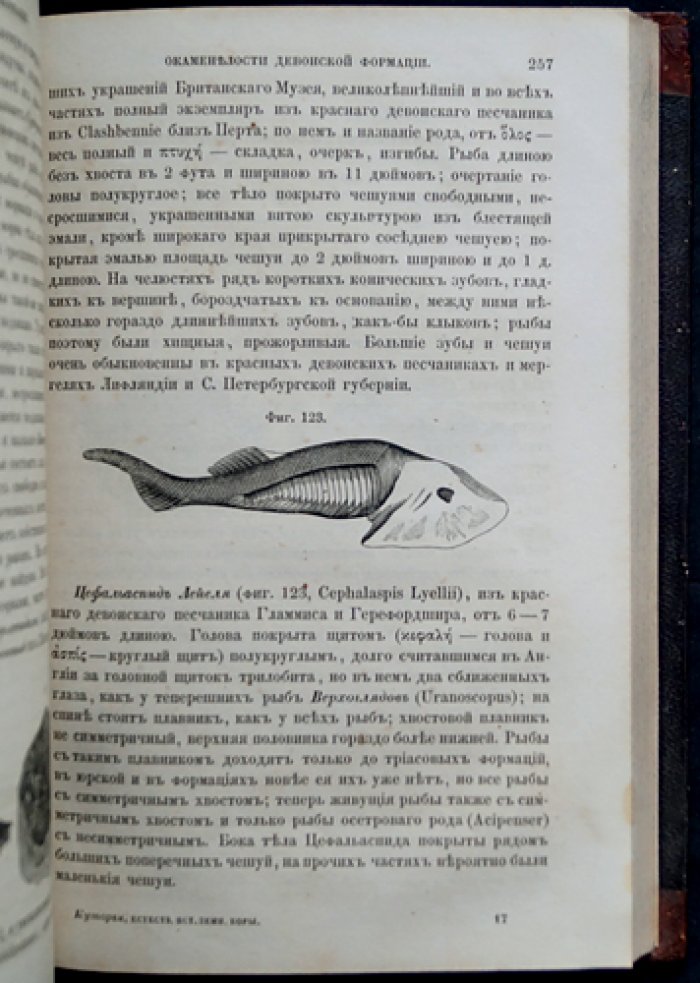 Куторга С. Естественная история земной коры: с иллюстрациями и геологическими картами