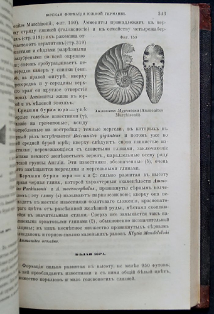 Куторга С. Естественная история земной коры: с иллюстрациями и геологическими картами