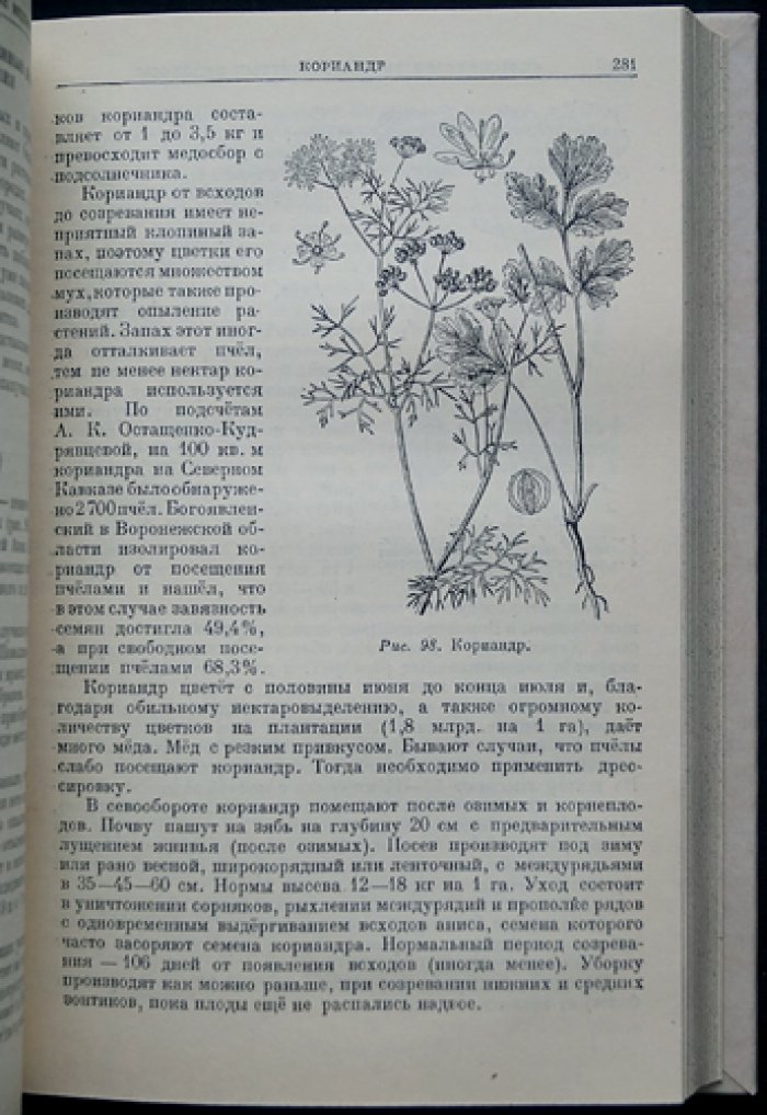 Важнейшие медоносные растения и способы их разведения: справочник по медоносному делу