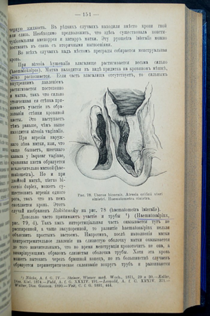 Женские болезни: руководство по диагностике и лечению (с 278 рисунками)