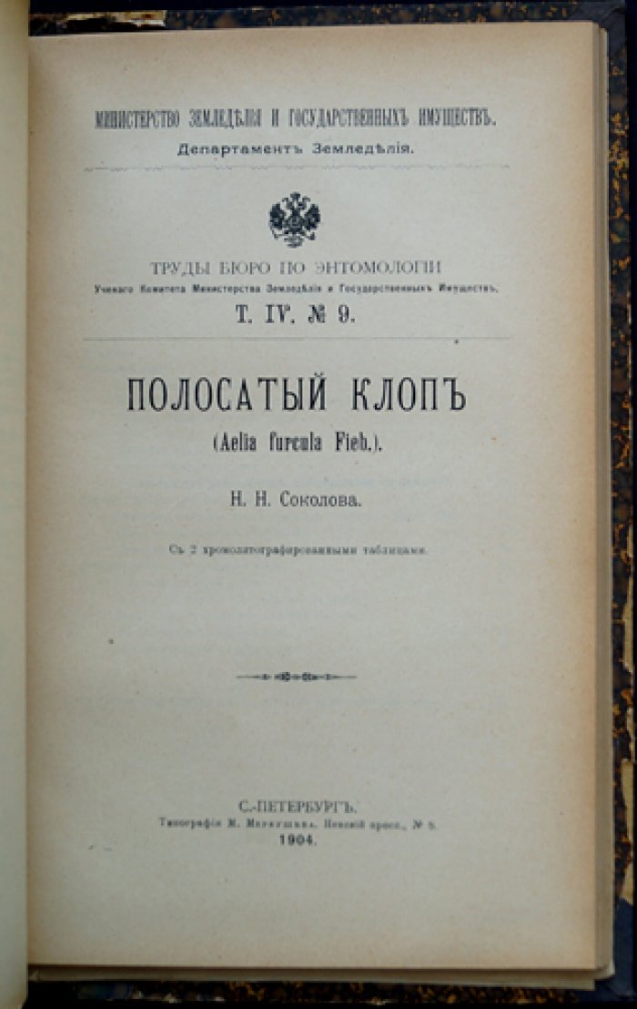 Труды бюро по энтомологии. Том IV: № 1–11 (комплект статей, 1903–1904)