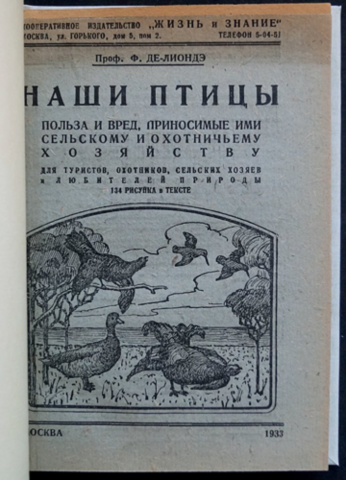 Наши птицы: польза и вред для сельского и охотничьего хозяйства