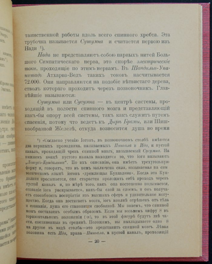 Седир. Индийский факиризм: практическая школа упражнений для развития способностей