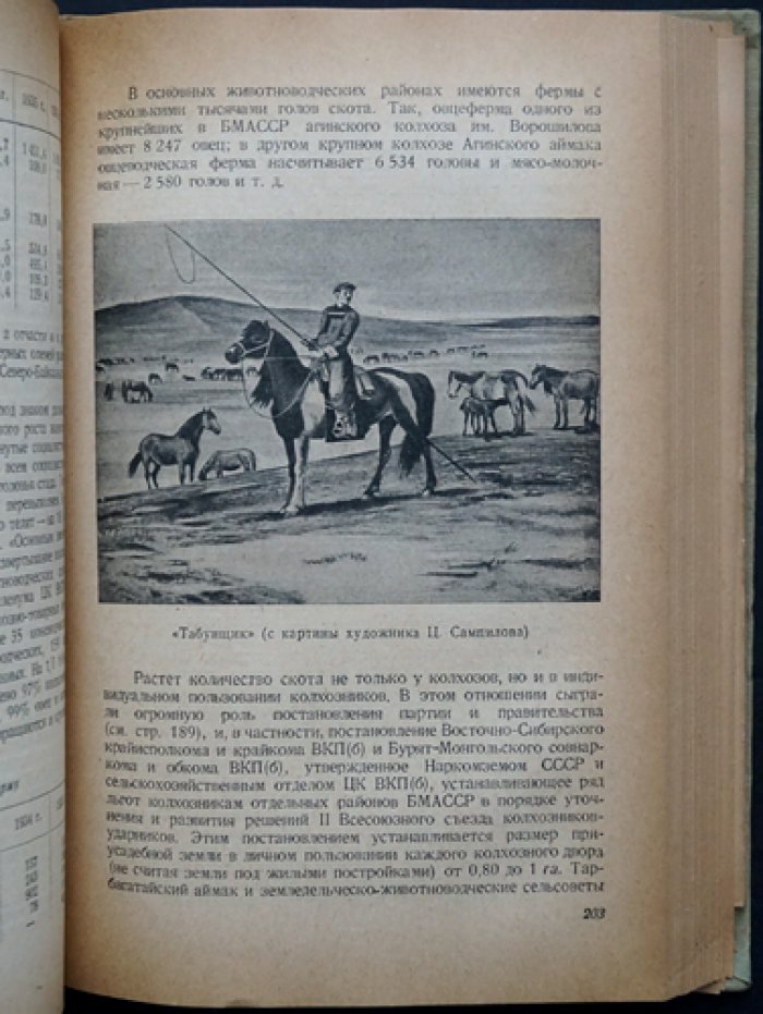Бурят-Монгольская АССР: природно-географическое, историческое и хозяйственно-культурное описание (довоенный очерк по районам и аймакам)