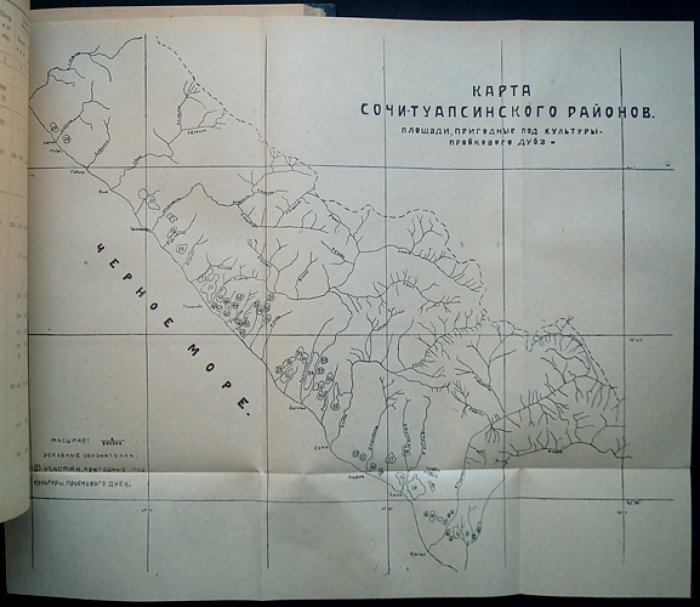 Труды Кавказской экспедиции. Часть 1: отчёты за 1929 год. Выпуск 14 (лесное хозяйство и лесная промышленность)
