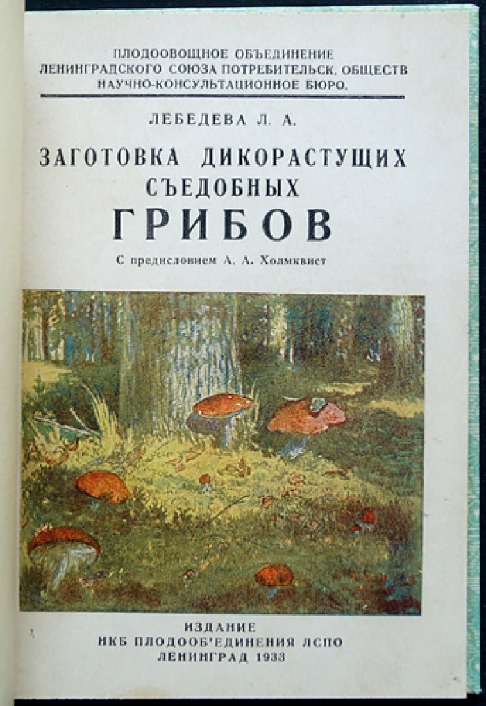 Заготовка дикорастущих съедобных грибов (с предисловием А.А. Холмквиста)