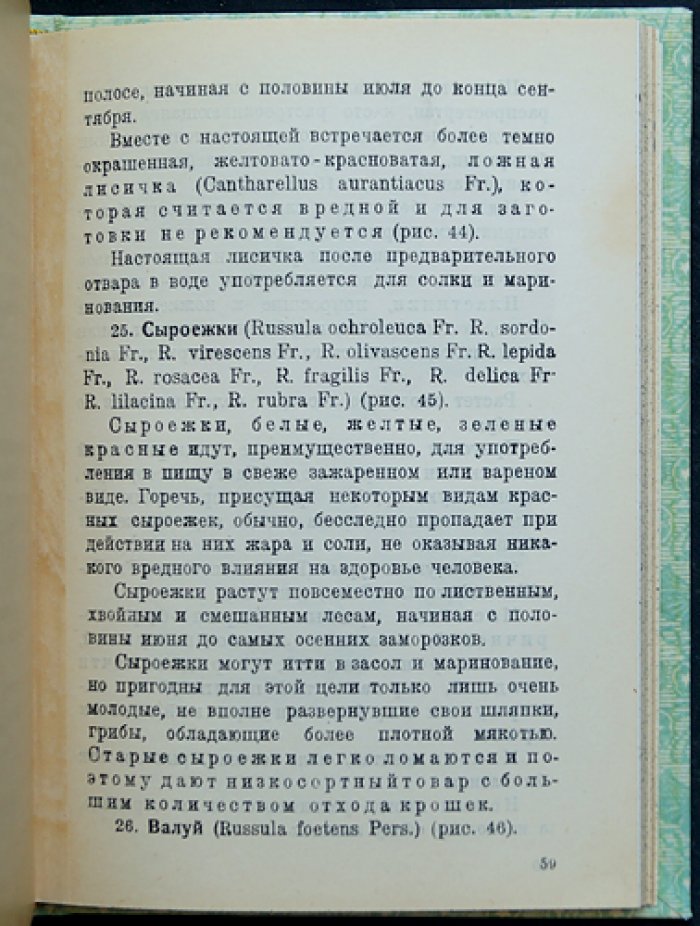 Заготовка дикорастущих съедобных грибов (с предисловием А.А. Холмквиста)