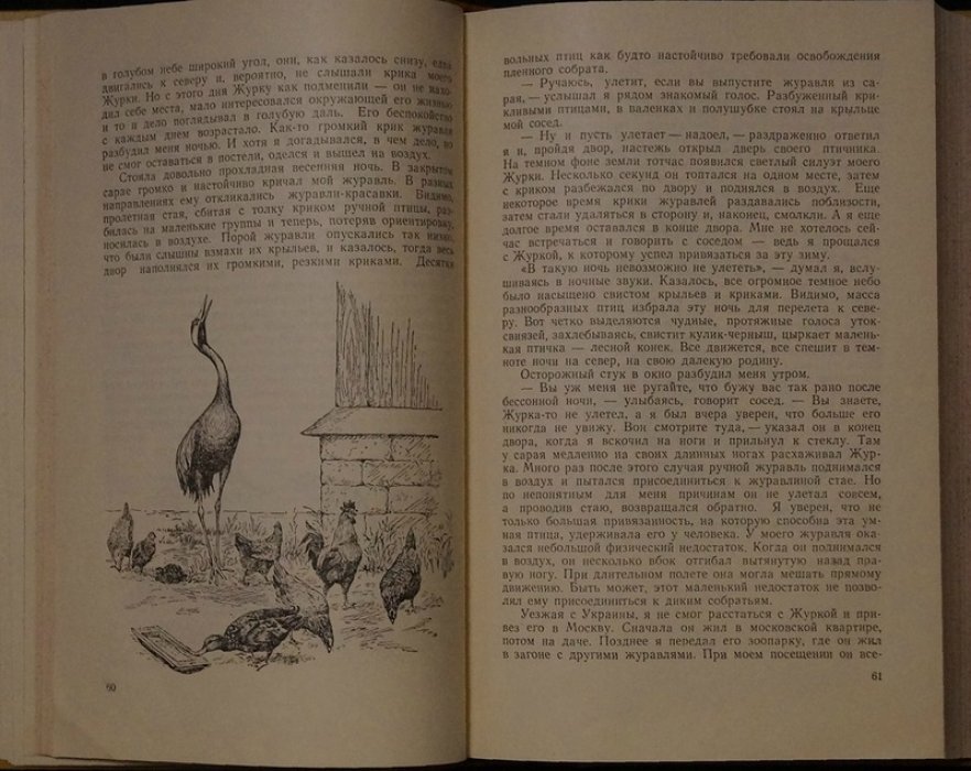 Из жизни натуралиста — книга о природе и наблюдениях (Е. П. Спангенберг, 1953)
