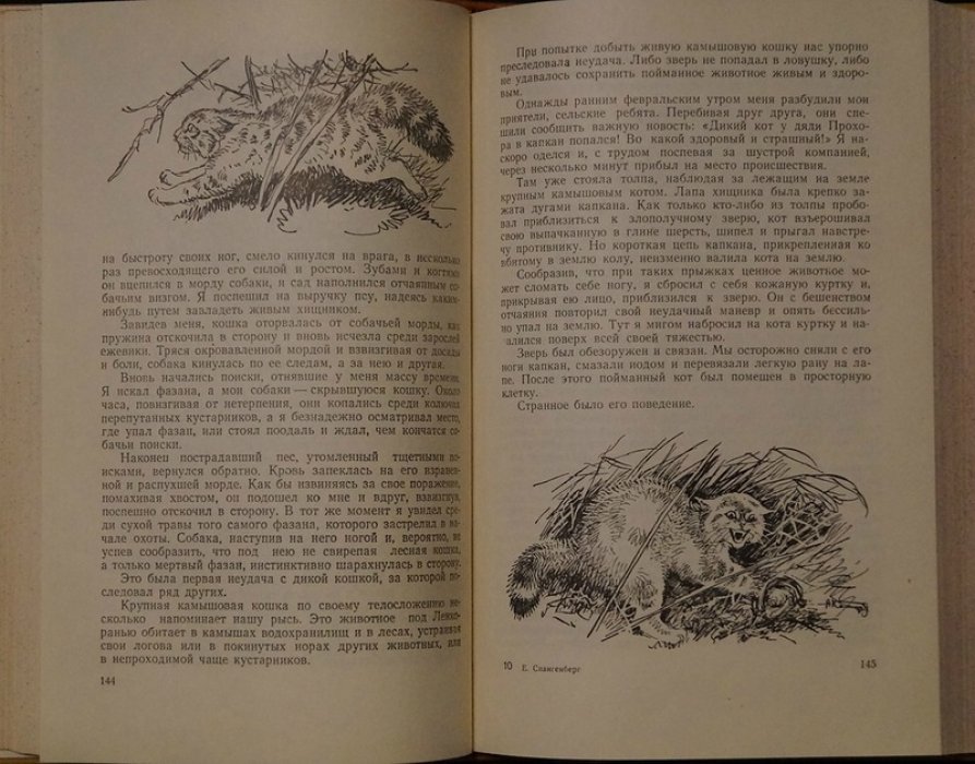 Из жизни натуралиста — книга о природе и наблюдениях (Е. П. Спангенберг, 1953)