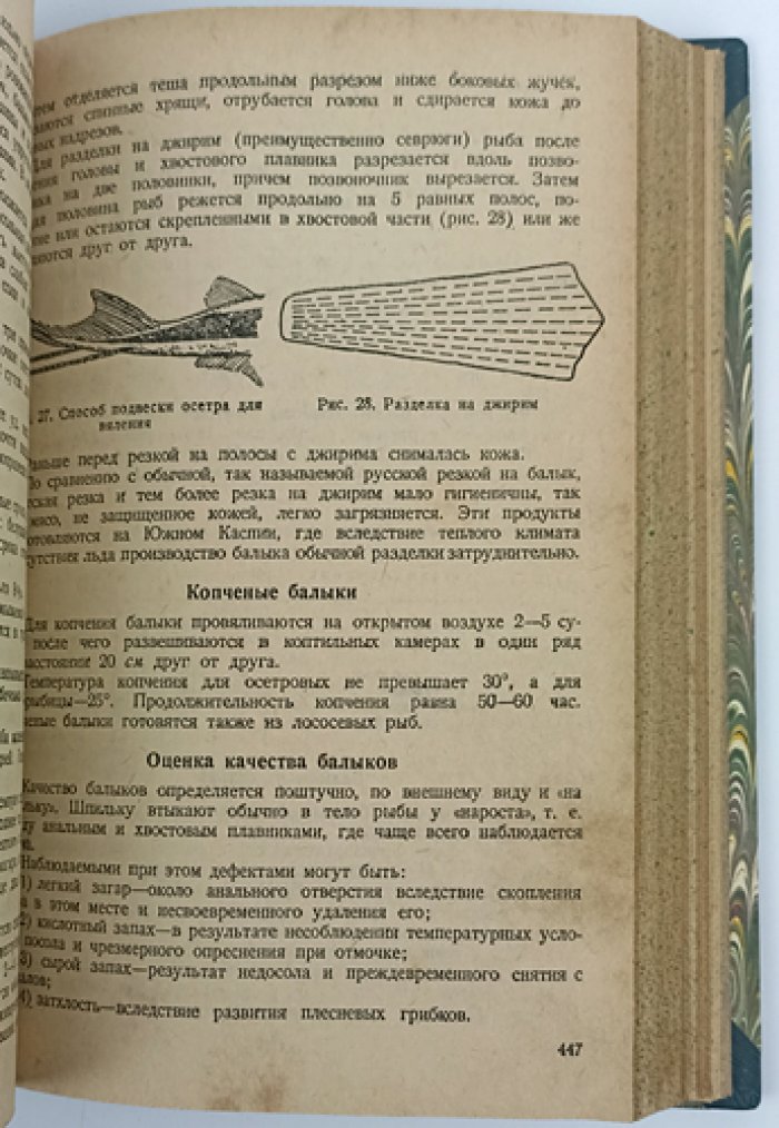 Технология рыбных продуктов: сырье, консервы, посол, икра, сушка, копчение, рыбная мука и жиры