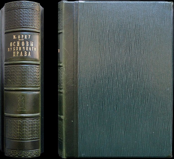 Основы публичного права: системный курс о государстве, правовом порядке и разделении властей