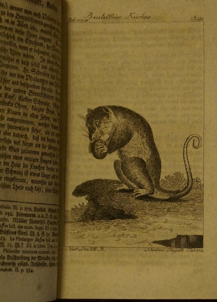 Общая история природы в алфавитном порядке. Том VII (немецкое издание 1787 года)