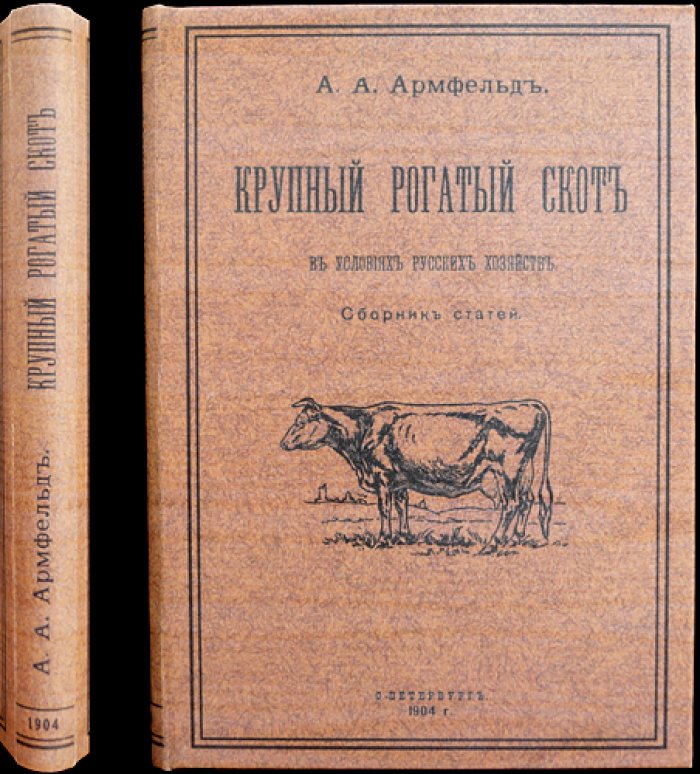 Крупный рогатый скот в условиях русских хозяйств: практическое скотоводство и молочное направление