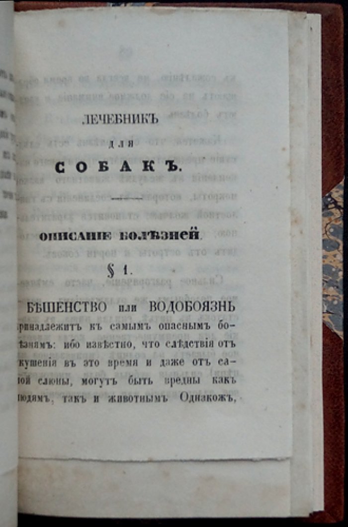 Лечебник для собак: подробное и ясное описание их болезней и верные испытанные средства лечения (с рецептами лекарств)
