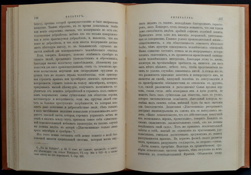 Вольтер. Жизнь и идеи (по биографическому исследованию Дж. Морлея)