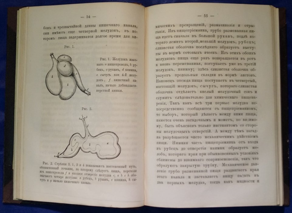 Химия кухни: научный взгляд на питание, пищеварение и кулинарные процессы